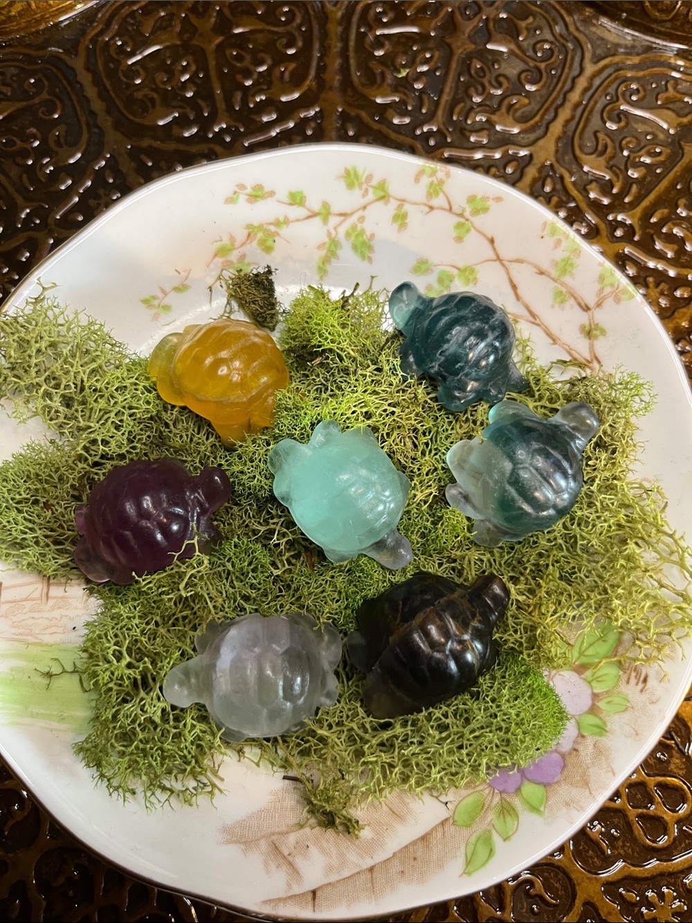 Flourite mini turtles